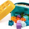 Dwellinger Baby Plastic Shape Sorter