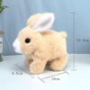 Walking And Talking Rabbit toy